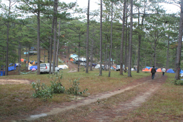 Dịch vụ cắm trại (Camping services)