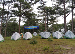 Dịch vụ cắm trại (Camping services)