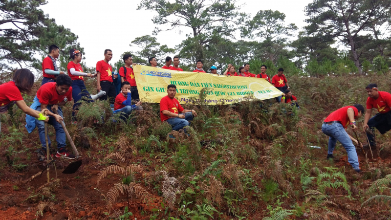 Giáo dục môi trường (Environmental Education)