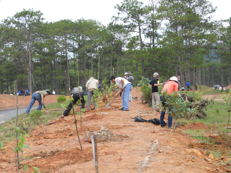 Giáo dục môi trường (Environmental Education)