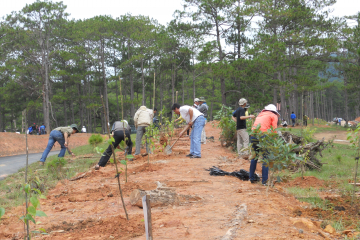 Giáo dục môi trường (Environmental Education)