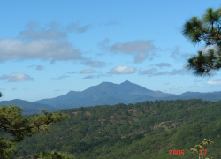 Đỉnh Langbiang ( Núi Bà )